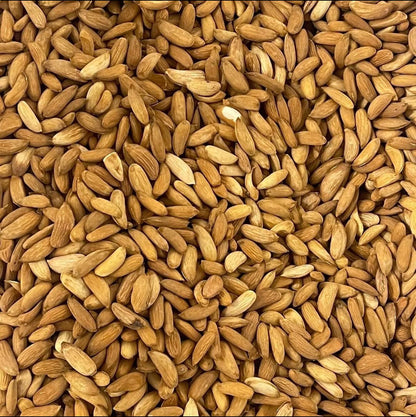 premium Afghan Almond