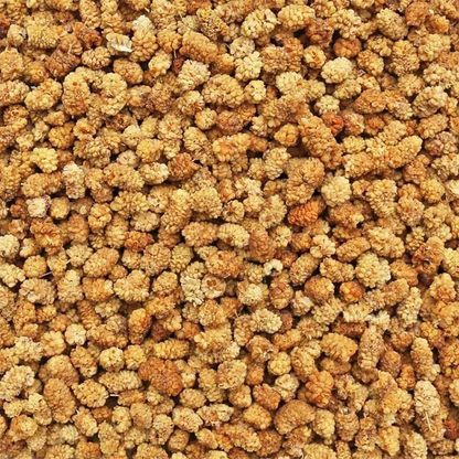 Afghan White Mulberries